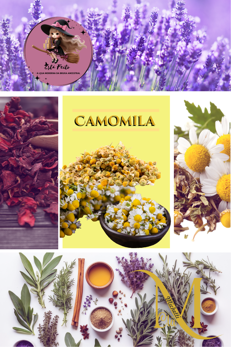 Camomila